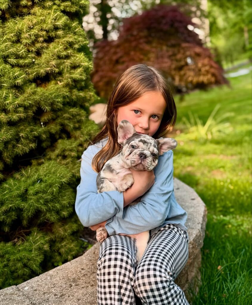 French Bulldog Testimonials